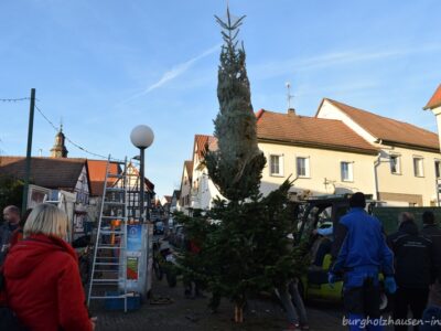 Burgholzhäuser Weihnachtsbaum aufstellen